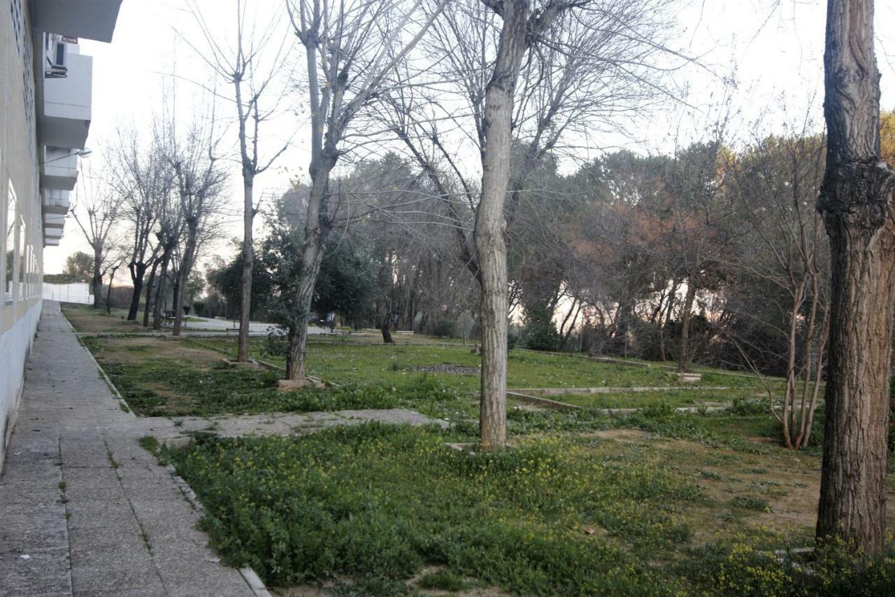 Bonito Apart. Con Parking Y Piscina Mairena del Aljarafe Exterior foto